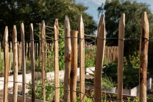 Närbild spetsen kastanjestaket